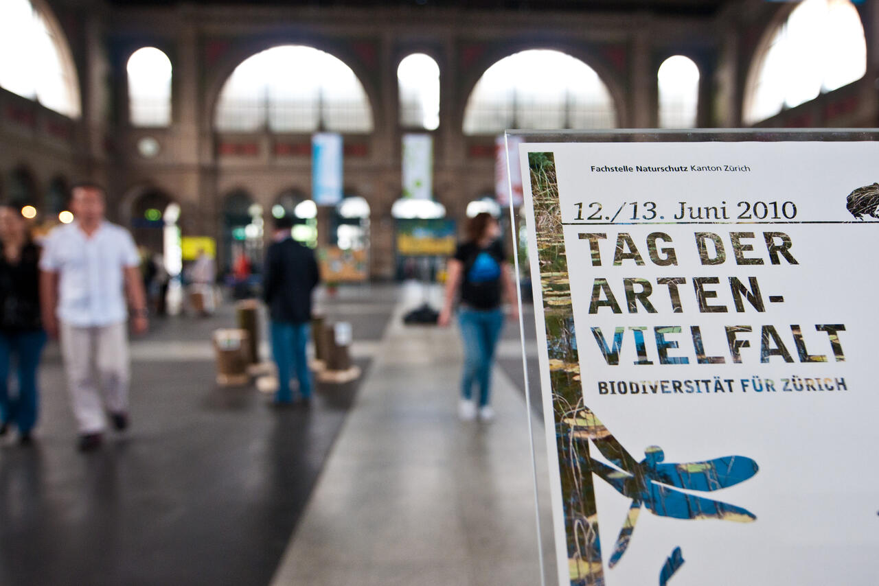 Am Tag der Artenvielfalt haben während 24 Stunden Expertinnen und Experten möglichst viele Arten aufgespürt. Präsentiert wurden diese an verschiedenen Standorten im Kanton, so auch im Hauptbahnhof Zürich.